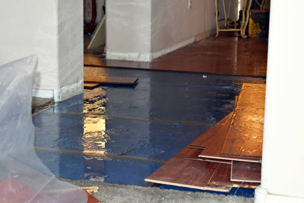 Professional Basement Flood Cleanup technician working in Glenmont, NY